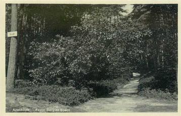 (300-074-015) Apeldoorn Ravijn Berg en Bosch beschikbaar voor biedingen
