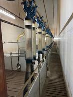 Opfok hokken [555], Boekhorst Trading, Info@boekhorsttrading.com, Singel 16, Horssen, Opfok