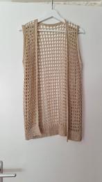 Gouden gilet nieuw, Ophalen of Verzenden, Nieuw, Maat 36 (S)
