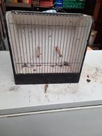 Tentoonstelling  kooitjes, Dieren en Toebehoren, Ophalen, Gebruikt, Hout, Vogelkooi