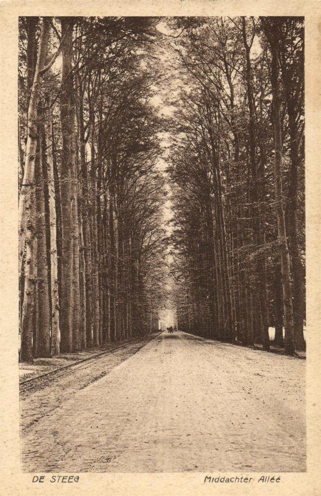 De Steeg - Middachter Allee - 1923 gelopen, Verzamelen, Ansichtkaarten | Nederland, Gelopen, Gelderland, Voor 1920, Ophalen of Verzenden