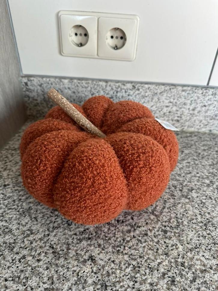 Een supergezellige herfst-decoratie in vorm van een pompoen, Huis en Inrichting, Woonaccessoires | Kussens, Nieuw, Bruin, Overige vormen