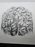 12 fraaie litho's drukken Hans van Dokkum gesigneerd, Antiek en Kunst, Ophalen of Verzenden