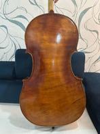 Cello  Laurentius Bellafontana, Ophalen of Verzenden, Zo goed als nieuw, 4/4-cello