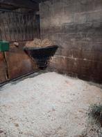 Hooibak, Toebehoren, 1 paard of pony