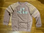 Leuke roze trui maat 116/122, Kinderen en Baby's, Kinderkleding | Maat 122, Ophalen of Verzenden, Zo goed als nieuw, Meisje, Trui of Vest