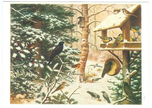 11 kinderpostzegel briefkaarten serie M.A. Koekoek, Verzamelen, Foto's en Prenten, Zo goed als nieuw, Prent, Dier, 1960 tot 1980