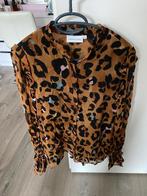 Fabienne Chapot blouse zgan, Kleding | Dames, Blouses en Tunieken, Overige kleuren, Zo goed als nieuw, Fabienne Chapot, Ophalen