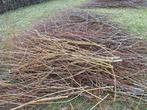 Snoeihout wilg, mooi spul voor paarden/geiten (gratis), Ophalen, Overige soorten, 100 tot 250 cm