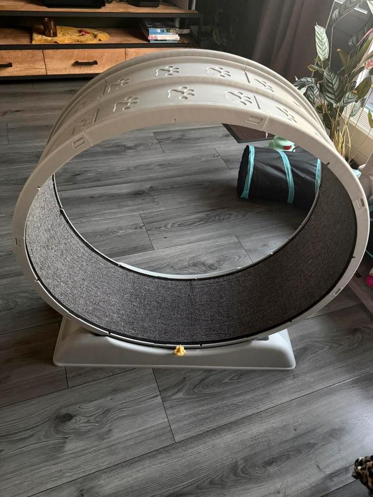Renwiel voor katten, Dieren en Toebehoren, Katten-accessoires, Zo goed als nieuw, Ophalen of Verzenden
