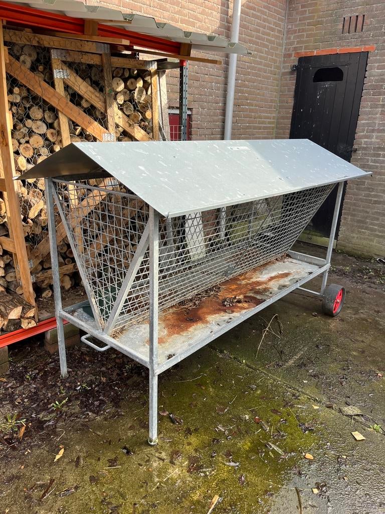 Hooiruif met morsbak en wielen, Dieren en Toebehoren, Meerdere dieren, Schaap