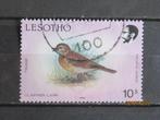 POSTZEGEL  LESOTHO - VOGEL   =3699=, Verzenden, Overige landen, Gestempeld