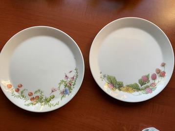 2 Marjolein Bastin Libelle wedgwood dinerborden beschikbaar voor biedingen