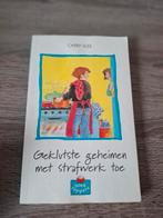 Geklutste geheimen met strafwerk toe, Ophalen of Verzenden, Gelezen, Fictie algemeen