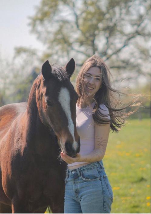 D pony welsh te koop, Dieren en Toebehoren, Pony's, Merrie, D pony (1.37m tot 1.48m), Recreatiepony, 11 jaar of ouder, Met stamboom