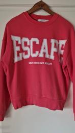 Costes trui maat XS, Ophalen of Verzenden, Zo goed als nieuw, Costes, Roze