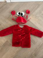 Carnavalspakje sebastiaan de krab zelfgemaakt 3 jaar, Ophalen, Zo goed als nieuw, Jongen of Meisje, Jas