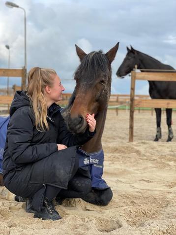 Gezocht: pre pensioenplek lieve ruin beschikbaar voor biedingen