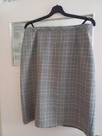 Geruite rok, Kleding | Dames, Rokken, Ophalen of Verzenden