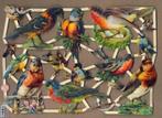 Vogeltjes met Roodborst op nest poezieplaatjes 7281, Verzenden