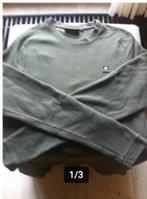 Heren trui leger groen maat XL Ashes To Dust rise again., Ophalen of Verzenden, Zo goed als nieuw, Groen, Maat 56/58 (XL)