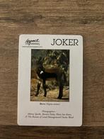 Joker Ezel, Verzamelen, Speelkaarten, Jokers en Kwartetten, Verzenden, Nieuw, Joker(s)