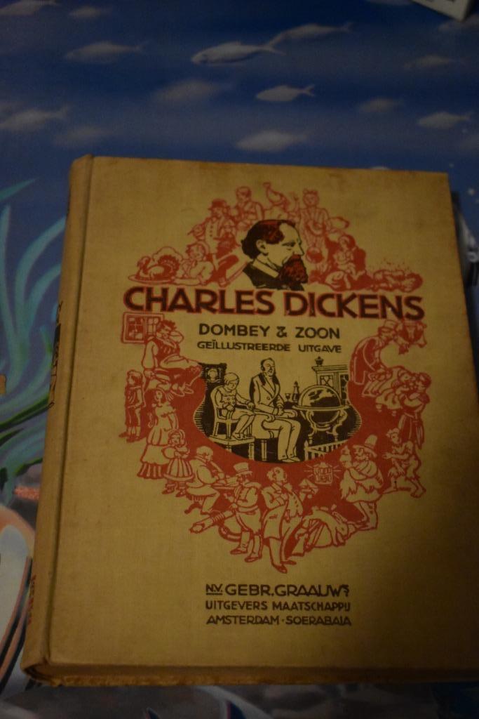 boek van Charles Dickens/Dombey en zoon, Boeken, Literatuur, Gelezen, Ophalen of Verzenden