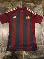 Pec zwolle shirt bevrijdingsshirt, Sport en Fitness, Voetbal, Maat S, Ophalen of Verzenden, Nieuw, Shirt