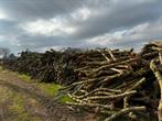 Appelboomstammen te koop, Minder dan 3 m³, Ophalen, Overige houtsoorten, Blokken