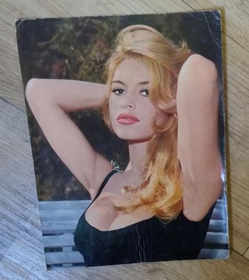 Supergrote kleurenfoto BRIGITTE BARDOT 60er jaren (nr12) beschikbaar voor biedingen