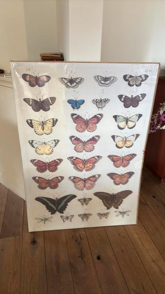 Poster van vlinders ( ikea) 70 x 100 cm, Verzamelen, Posters, Ophalen