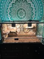 TERRARIUM MET ACCESSOIRES VOOR REPTIELEN, Dieren en Toebehoren, Reptielen en Amfibieën | Toebehoren, Ophalen, Gebruikt, Terrarium of Paludarium