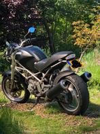 Ducati Monster 600, 2001, Akrapovic uitlaten, Motoren, Motoren | Ducati, 2 cilinders, Particulier, Meer dan 35 kW, 600 cc