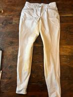 Witte rijbroek met leren zitvlak en steentjes maat 38, Ophalen of Verzenden, Zo goed als nieuw, Dressuur, Onderkleding