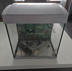 Superfish Aquarium 20 Liter met verlichting, Ophalen, Gebruikt, Leeg aquarium