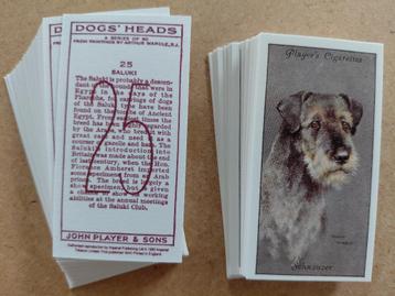 Dogs' Heads complete set 50 cigarette cards honden REPRO  beschikbaar voor biedingen