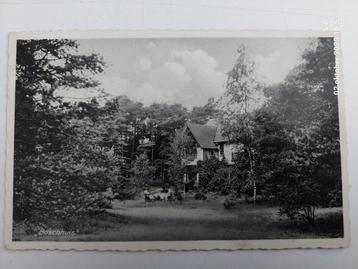 Oude ansichtkaart 'Boschhuis' - Bilthoven - Utrecht  beschikbaar voor biedingen
