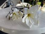 Magnolia kunstbloemen, Ophalen of Verzenden, Zo goed als nieuw