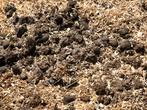 Grais zeer goede paardenmest. Top voor de tuin, Tuin en Terras, Aarde en Mest, Ophalen, Mest