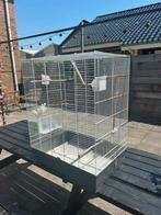 Vogelkooi, Ophalen of Verzenden, Zo goed als nieuw, Vogelkooi