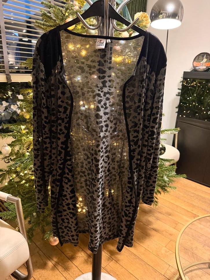 Leuke luipaard vest - Maat XL ( 48 ), Kleding | Dames, Grote Maten, Zo goed als nieuw, Trui of Vest, Grijs, Ophalen of Verzenden