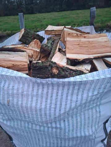 Vers gekloofd wilgen hout beschikbaar voor biedingen