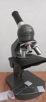 microscoop euromex holland, Ophalen of Verzenden, 400x tot 1000x