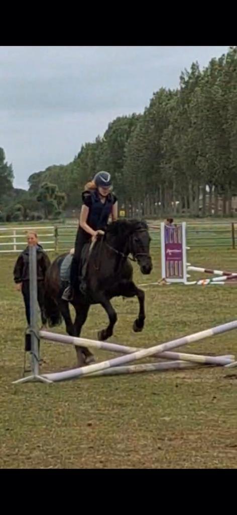 PONY GEZOCHT, Dieren en Toebehoren, Paarden en Pony's | Verzorgingsproducten, Ophalen