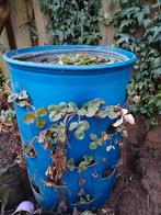 Grote aardbeienton inclusief zand en planten, Tuin en Terras, Regentonnen, 150 liter of meer, Ophalen of Verzenden