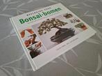 BEELDGIDS voor BONSAI-BOMEN - stap voor stapgids, Ophalen of Verzenden, Zo goed als nieuw, C. Lewis / N. Sutherland, Bloemschikken, Groendecoratie