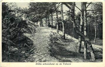 (381-379-003) Stille schoonheid op de Veluwe beschikbaar voor biedingen