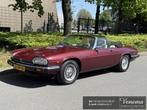 Jaguar XJS 5.3 V12 Convertible, Auto's, Automaat, Gebruikt, Leder, 5343 cc