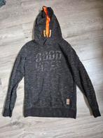 EuropeKIDS hoodie maat 146/152, Ophalen, Zo goed als nieuw, Jongen, Trui of Vest