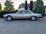 Daimler Double-six 5.3 AUT 1987 Beige, Automaat, 12 cilinders, Beige, Origineel Nederlands